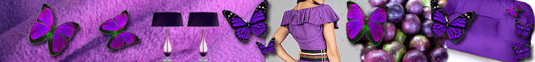 36_SfeerbeeldEYE-shop1.gif