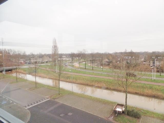 Sterrenkroos, Breda