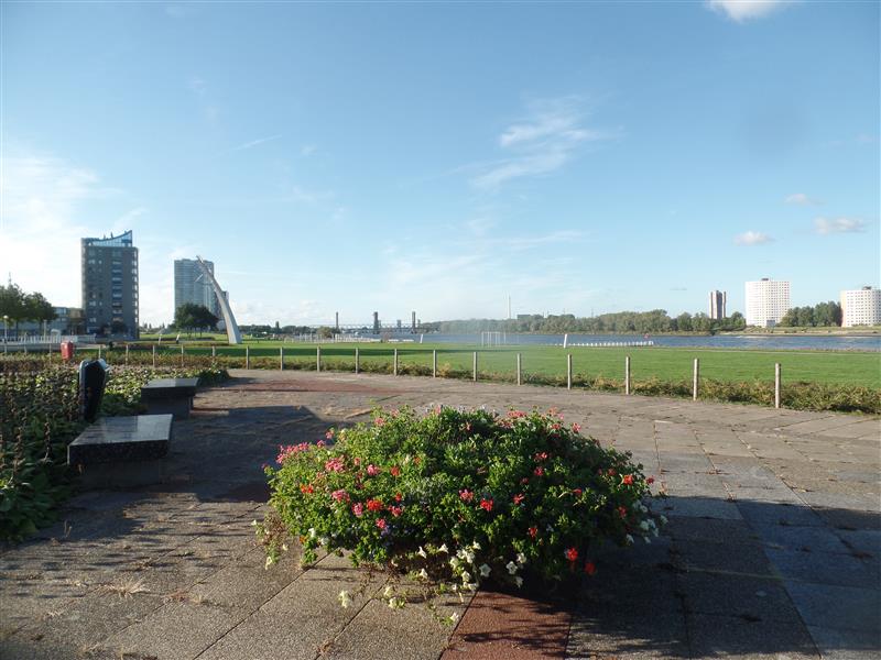 Maasboulevard