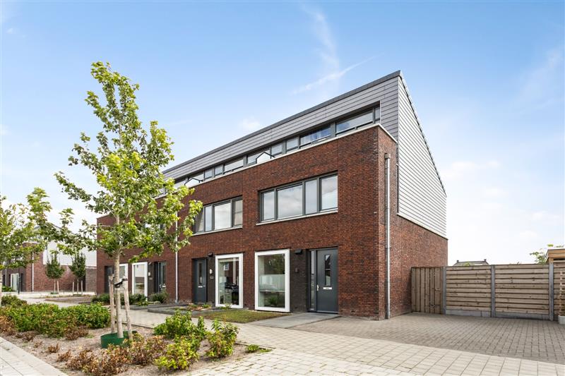Muntmeester