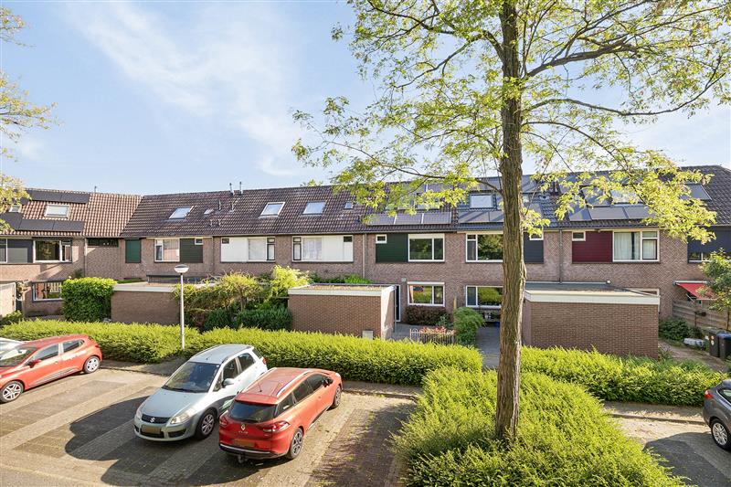 Zeelandsingel, Arnhem - Amsterdam Apartments for Rent